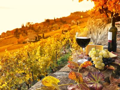 hotelsangregorio en package-and-bike-tour-with-wine-tasting-hotel-pienza-tuscany 009