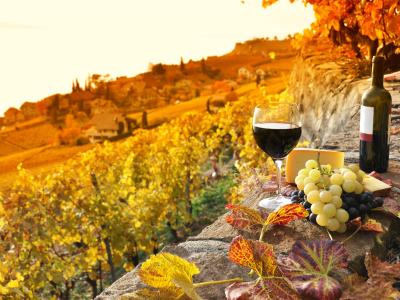 hotelsangregorio de de-paket-e-bike-tour-mit-weinprobe-hotel-pienza-toskana 009