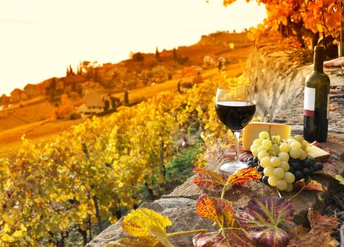 hotelsangregorio en package-and-bike-tour-with-wine-tasting-hotel-pienza-tuscany 005