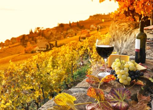 hotelsangregorio de de-paket-e-bike-tour-mit-weinprobe-hotel-pienza-toskana 005