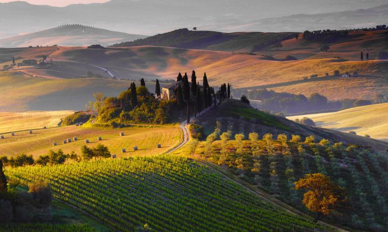 Paesaggio collinare toscano con cipressi e campi al tramonto.