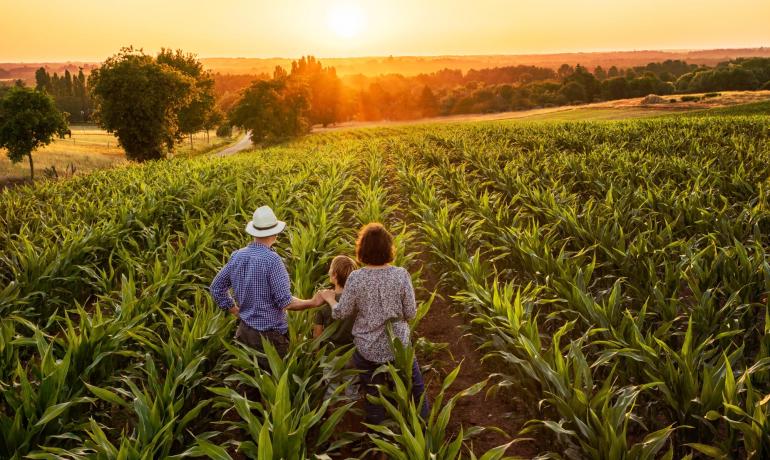 hotelsangregorio it hotel-pienza-convenzionato-con-azienda-agricola-per-trekking-e-degustazioni 016